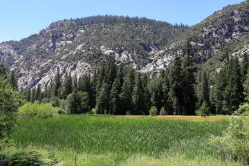 Zumwalt Meadow in the summer at Kings Canyon in the Sierra Nevada mountains of California © Salil