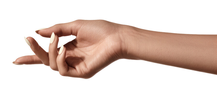 Delicate female hand with light skin and cream nails, isolated on transparent background