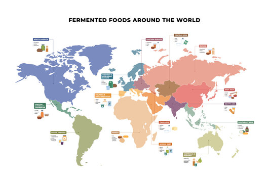 Fermented foods around the world map infographic. Flat vector illustration of global probiotic nutrition. Traditional regional meals and cultural diet chart isolated on white.