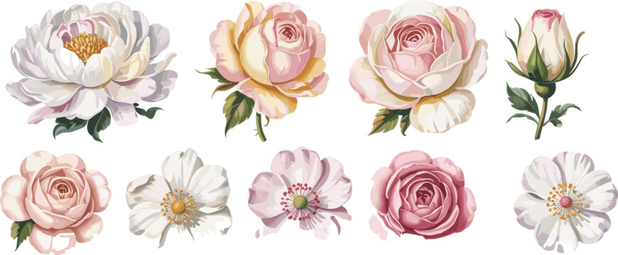 Vintage watercolor rose and peony floral set with pastel blossoms, botanical elements and isolated flower illustrations for wedding invitation, greeting card and romantic design