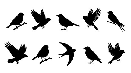 Fototapeta premium Bird silhouette set with flying and perched small birds, vector style for nature icons, background patterns, and wildlife designs