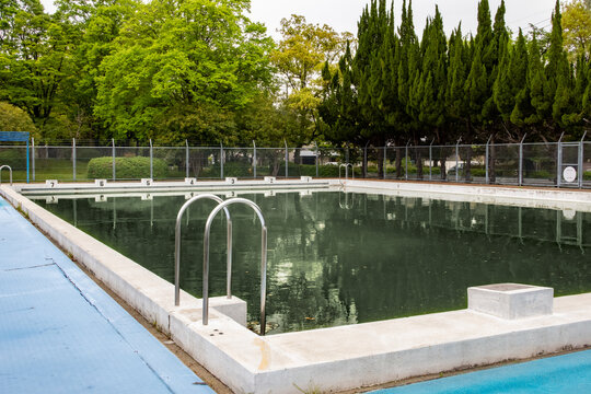 Empty outdoor pool with green water and trees
