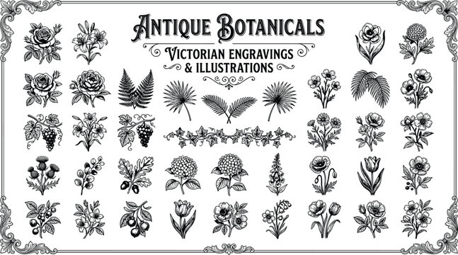Black and white hand drawn retro floral graphics sheet with roses tulips grapes and oak leaves woodcut style