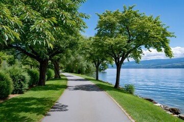 Obraz premium Lakeside path under green trees next to blue lake
