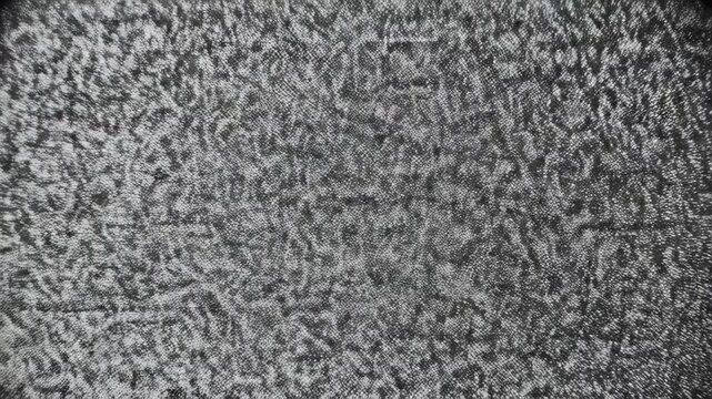 Close-up of a textured surface, exhibiting a speckled, granular pattern with shades of gray and black. The texture is dense and random