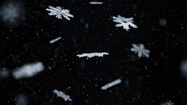 Snowflakes drift delicately against a deep black backdrop, showcasing intricate ice crystal patterns in soft focus
