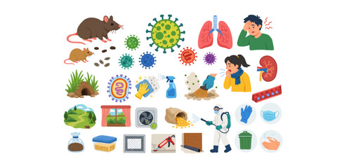 Fototapeta premium hantavirus transmission cycle rodents and environment medical infographic set