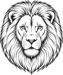 Black and white line of a lion's face with full mane also transparent background, head wild animal © PixelSaga MH2 