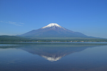 Fototapeta premium 逆さ富士 山中湖 青 空 背景