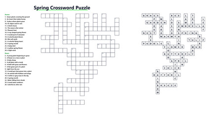 Fototapeta premium Spring crossword puzzle layout with clues on a white background 