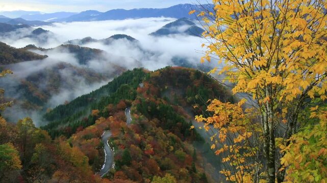おにゅう峠と雲海