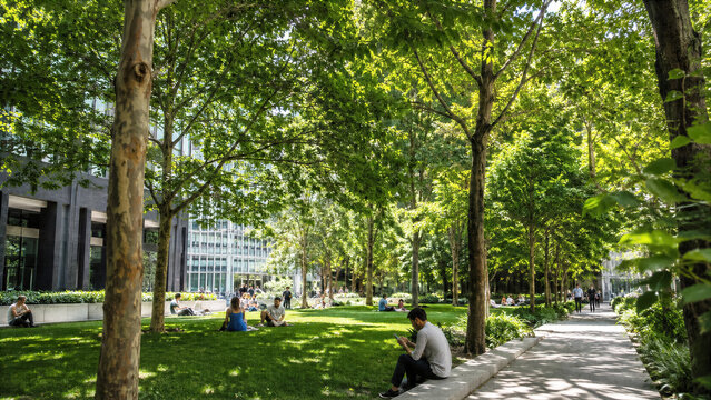 Small lush pocket park in a concrete business district providing shade and fresh air for office workers at lunch