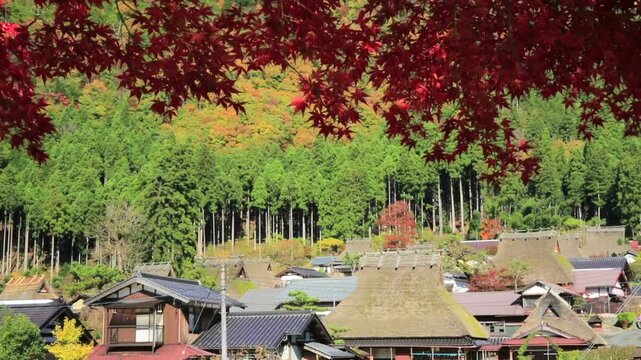 美山かやぶきの里　紅葉