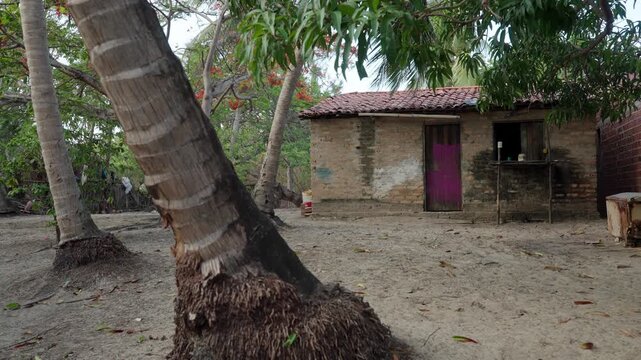 A traditional brick house with a purple door sits on sandy ground surrounded by palm trees in the remote coastal village of Atins, Maranh&atilde;o.