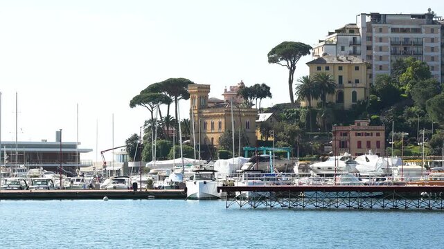Bright, static wide shot of Rapallo's marina in Italy, featuring luxury yachts, elegant Mediterranean pine trees, historic villas, and waterfront buildings on a sunny day. Clear blue water.
