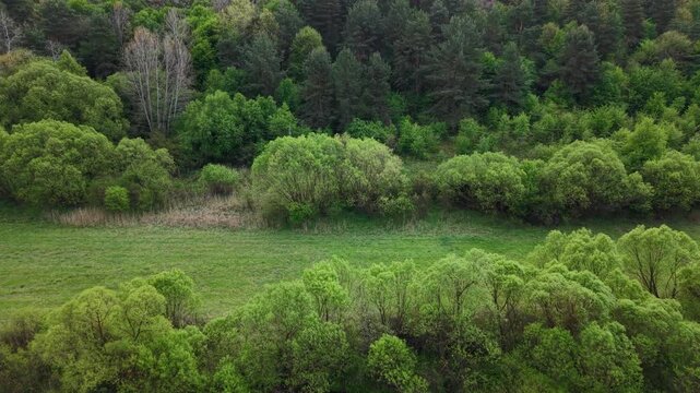 An elevated wooden hunting stand sits at the edge of a dense forest overlooking a vibrant green spring meadow landscape.