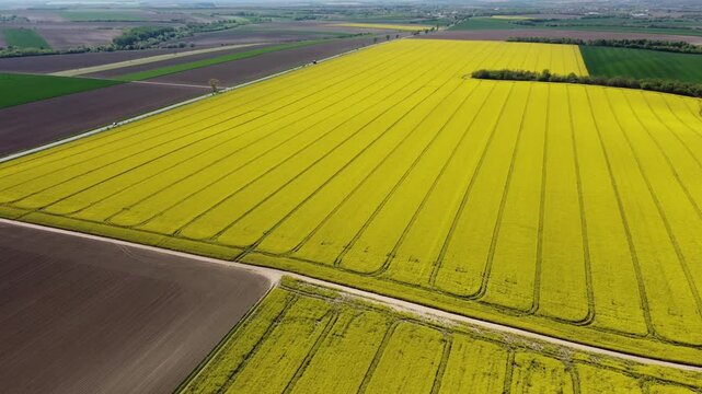 Cinematic top down aerial drone footage of a bright yellow rapeseed field beside a freshly plowed agricultural field. Natural geometric patterns, crop textures, and parallel farming lines.