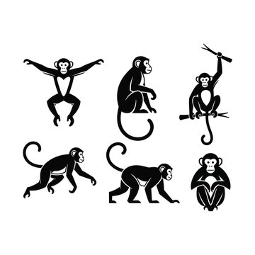 Monkey silhouette vector set, black primate icons in various poses, 6 wild animal graphics for logo and mascot design