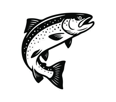 Rainbow Trout Vector Illustration, Leaping Game Fish Mascot for Fly Fishing Brands