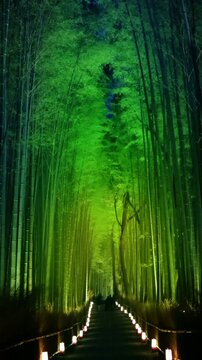 嵐山花灯路
