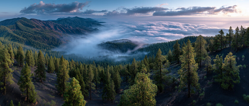 realistic pine forest growing along the edge of a volcanic crater above a sea of clouds, golden sunrise lighting, cinematic mountain photography, ultra detailed foliage textures.