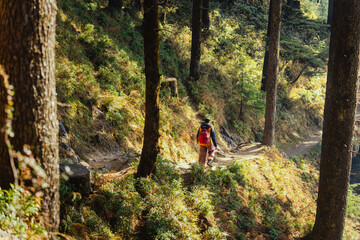 Lone hiker walking along a narrow mountain trail through a dense pine forest in the golden afternoon light in Chakrata, Uttarakhand, India © 3 Travelers