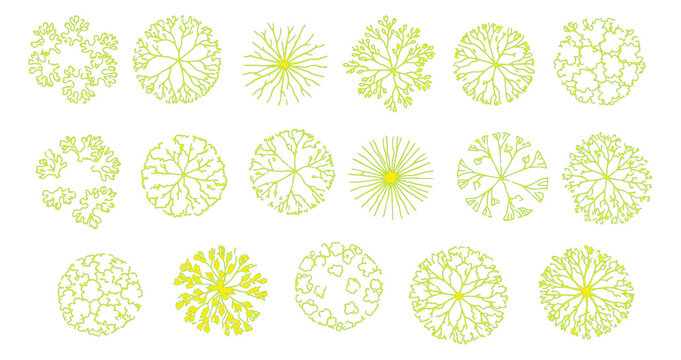 Architectural landscape tree symbols in top view, 17 green plant icons for site planning, minimalist garden design vector elements for master plans