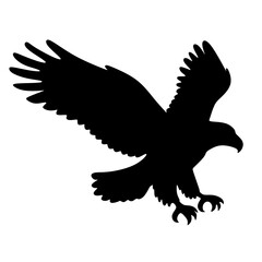 Fototapeta premium silhouette of a hunting eagle