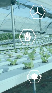 Vertical video: Hand hex appearing as AR showing CO, sun data while hydro rows filling, monitoring