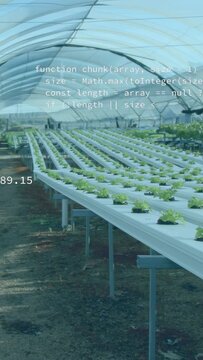 Vertical video: Hydro rows showing data after pan, hex icons stacking, numbers updating for growth