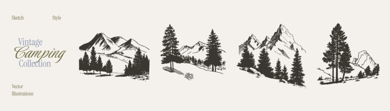 Alpine mountain peak and coniferous forest scenery. Illustrations for hiking maps and tourist branding. Black hand drawn ink sketch style with a gritty graphite hatching texture.