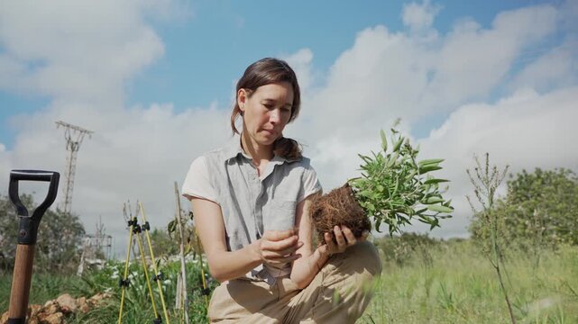 Woman farmer examining plant roots before planting