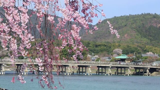 嵐山の渡月橋