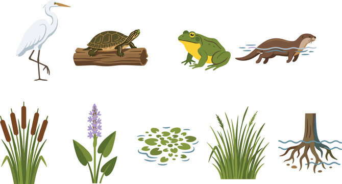 Wetland Wildlife and Aquatic Nature Elements Collection Featuring Heron, Turtle, Frog, Otter, Reeds, Lily Pads, and Marsh Ecosystem Vector Illustration