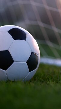 Vertical close-up of a football on the pitch during beautiful twilight