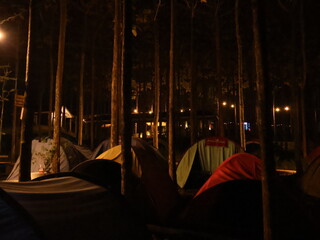 Camping tents in the pine forest at night with warm lights. © HyrositoDesign