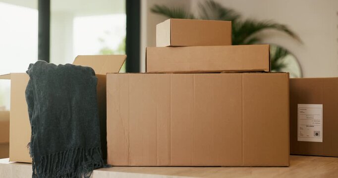 Empty, room and boxes with moving house for property relocation, expired lease or rental apartment. Real estate, vacate and cardboard packages with home items for eviction, migration and fresh start