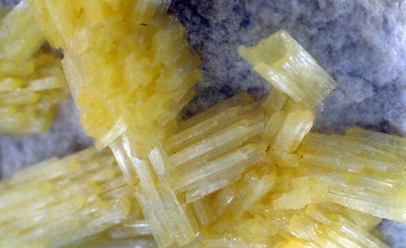 Radiant Yellow Prismatic Mineral Crystals Macro