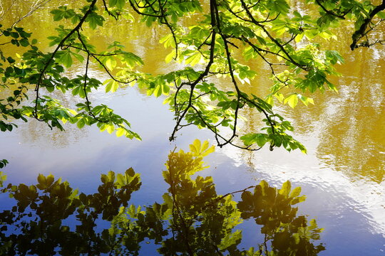 spring at the lake