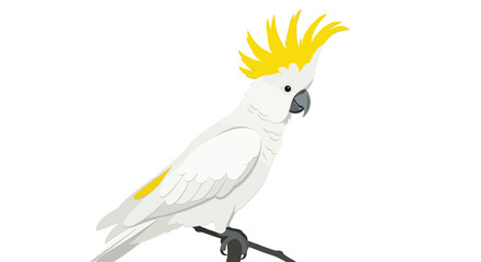 Cockatoo illustration white and yellow tropical bird on a branch © Sonjita