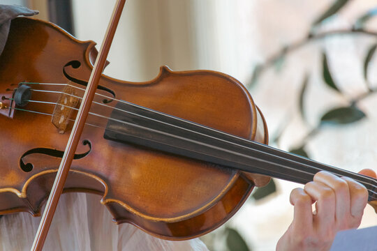 The hand of a violinist. musician performing at an outdoor wedding. Curl with violin neck close up. The actor performs at a party. musical instrument