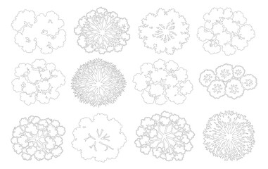 Architectural tree plan symbols, set of 12 landscape design icons, minimalist outline vegetation for site mapping and garden planning vector © M