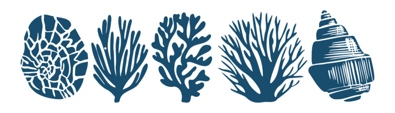 Seashell and coral vector set &mdash; five linocut silhouettes of seashell, ammonite and reef coral, hand-drawn woodcut style for nautical stamp, coastal poster or mediterranean design
