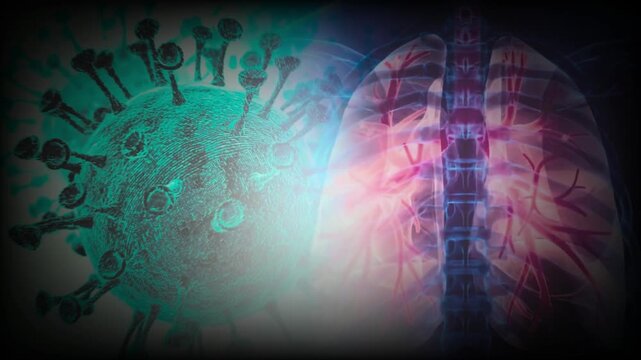 Hantavirus Pulmonary Syndrome Outbreak Concept. Microscopic Virus Attacking Lungs in Rodent Host Concept.