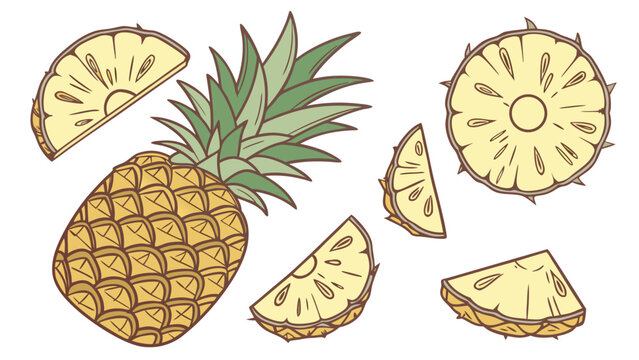 Whole fresh pineapple and various cut slices with spiky skin and fibrous core, vector illustration of ripe tropical fruit, sweet and juicy summer snack.