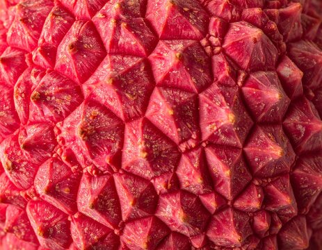 Seamless red lychee skin geometric bumpy texture overlay concept