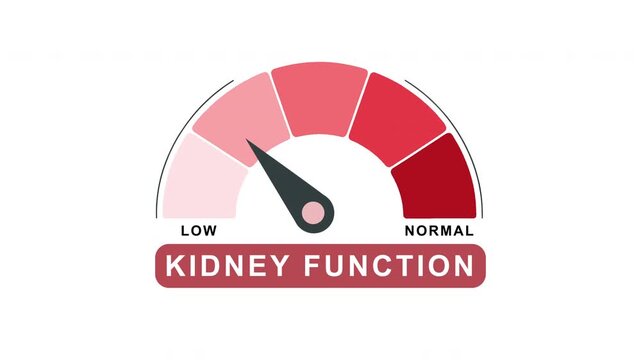 Kidney Function Level Gauge Animation from Normal to Low Indicator on Medical Healthcare Background Motion Graphics