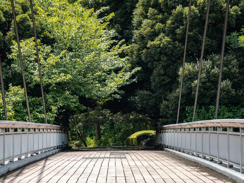 歩道に掛かるつり橋とその向こうに見える緑の森