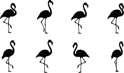 Collection of flamingo silhouettes in graceful poses, showcasing curved necks, standing postures, and tropical bird inspiration for decorative artwork © uzzala
