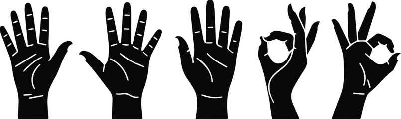 Fototapeta premium Palm and wave for stop or greeting